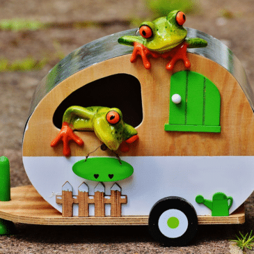 grenouille camping