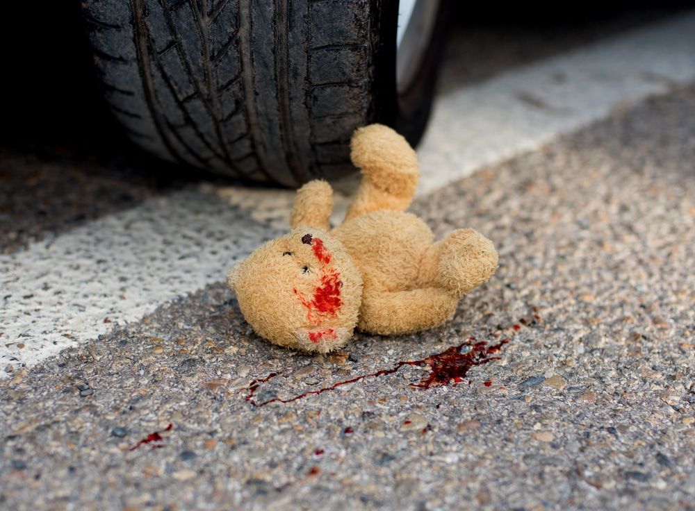 car crash with bear