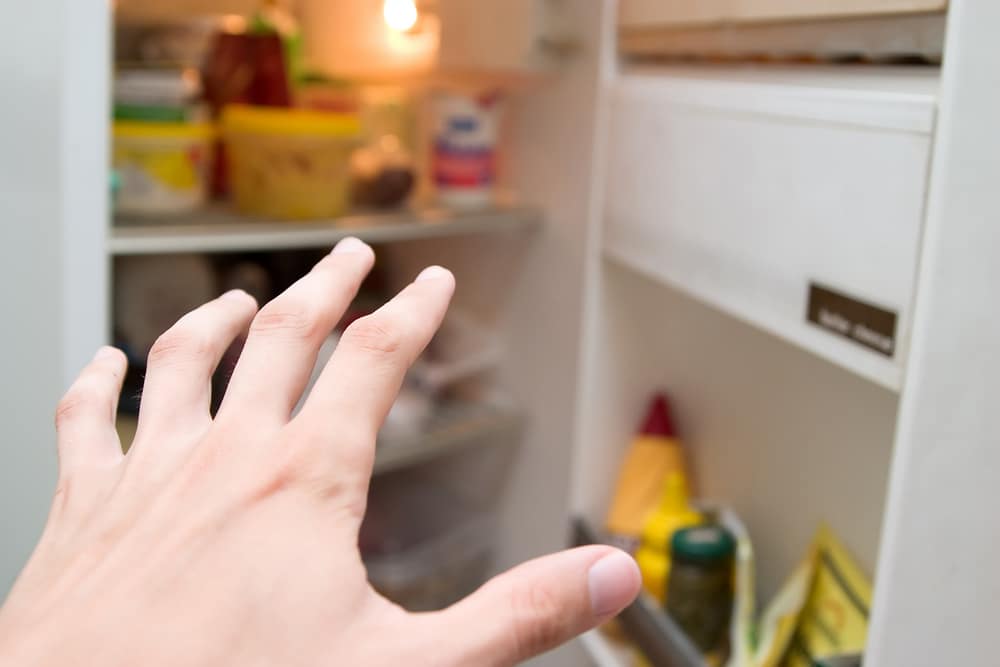 hand in front fridge