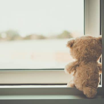 teddy bear looking outside
