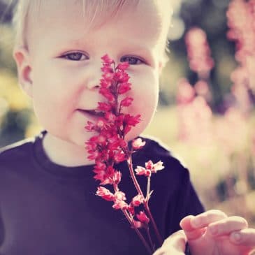 little kid in a field with flower