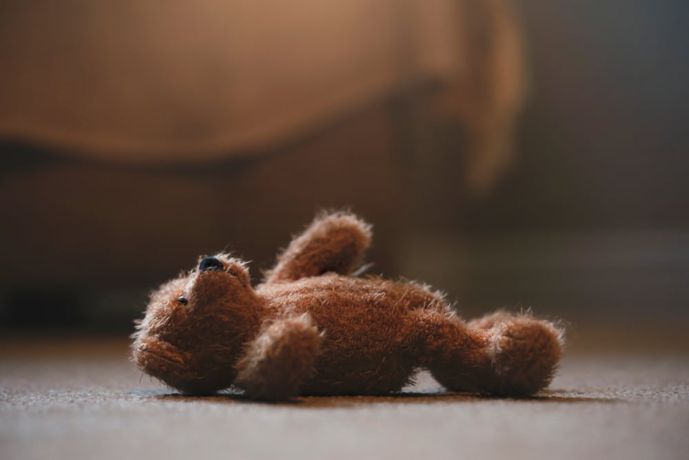 teddy bear alone