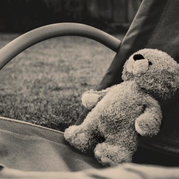 losted teddy bear