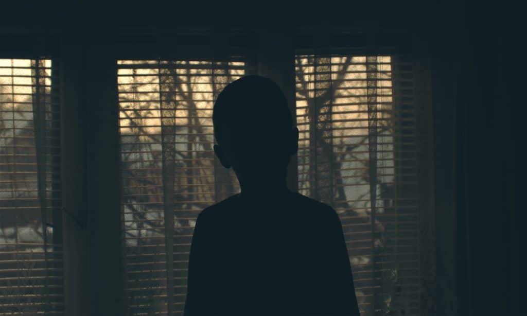 kid alone in the dark