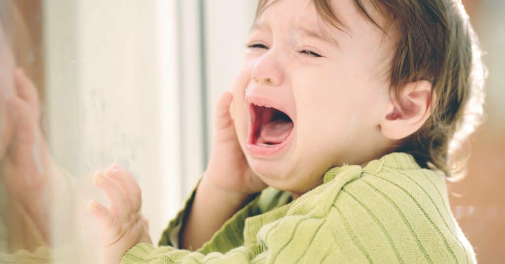 toddler cry in front of window